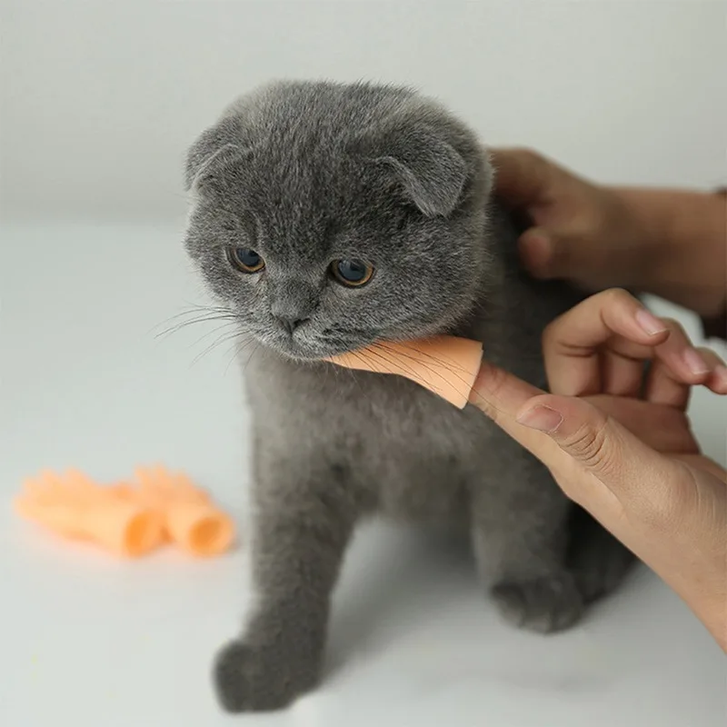 Children Noveltyfunny Mini Hand Creative Finger Fingertip Toys Teasing Cat Massage Pet Soft Silicone Small Hand Pet Supplies