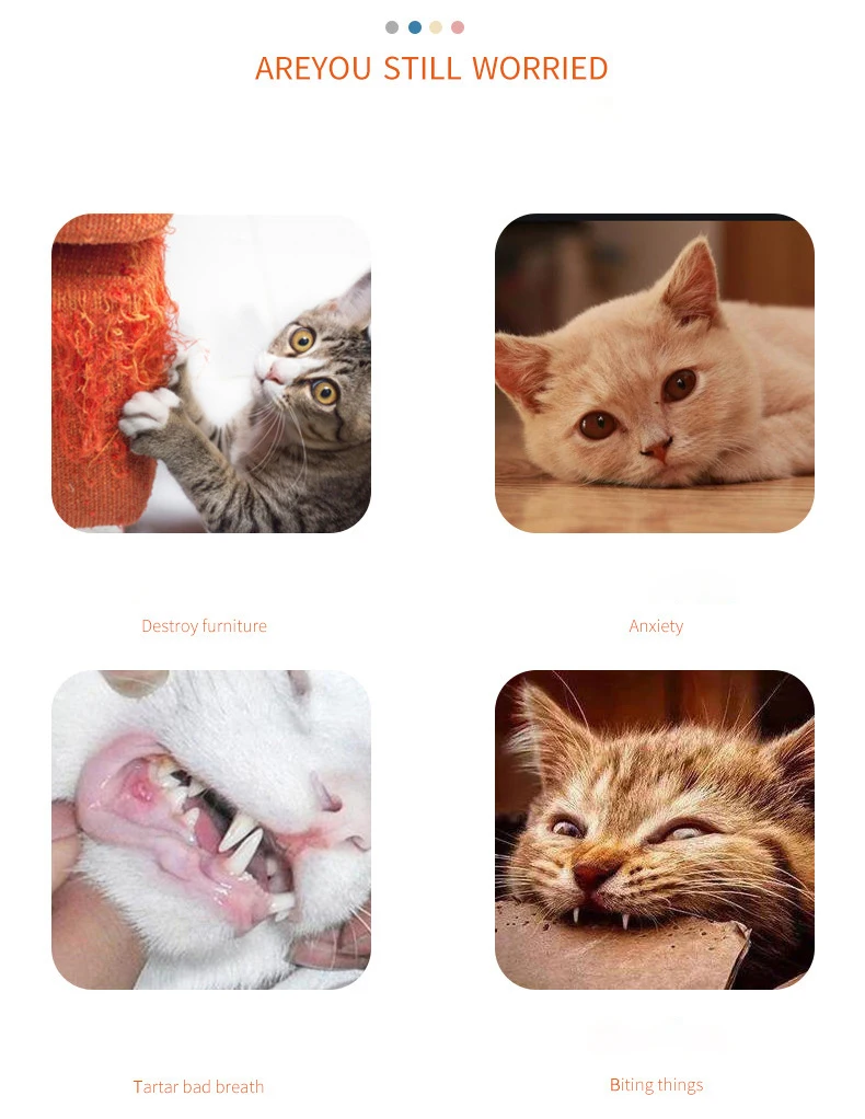 Simulation Feather Interactive Cat Toy Satin Ribbon Bell Cat Stick Toys Kitten Playing Teaser Wand Toy Cat Supplies Accessories