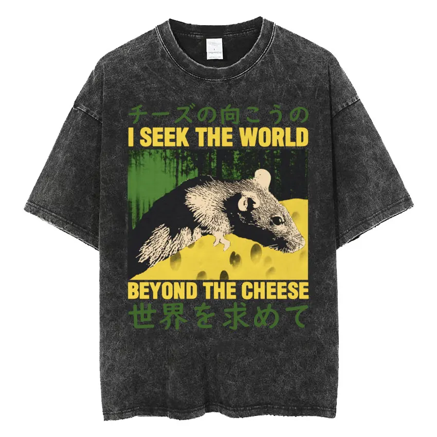 The Horrors Are Never Ending Yet I Remain Silly T-shirt Funny Japanese Style Frog Retro Washed T Shirt Men's Oversized Tees Tops
