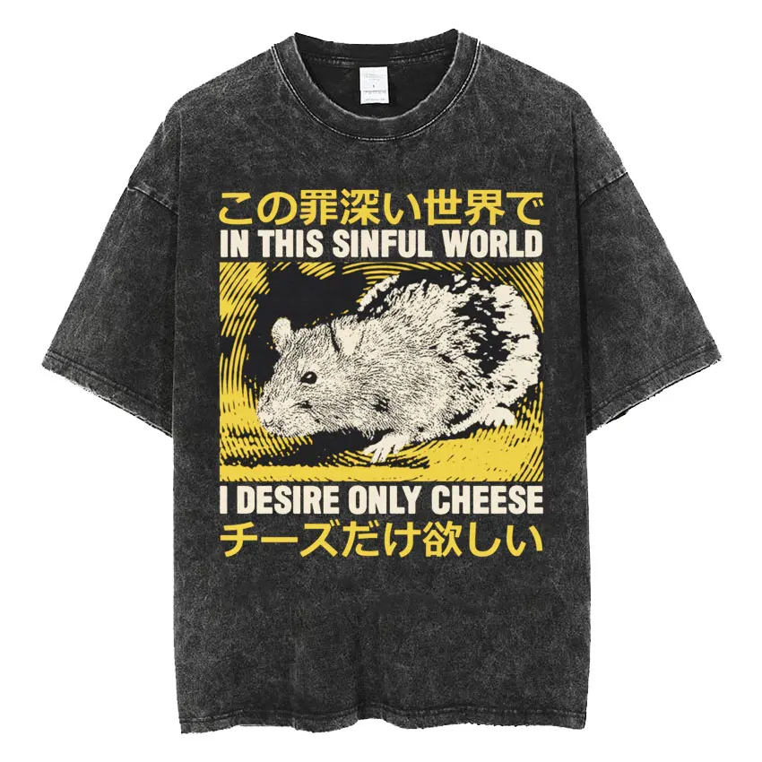 The Horrors Are Never Ending Yet I Remain Silly T-shirt Funny Japanese Style Frog Retro Washed T Shirt Men's Oversized Tees Tops