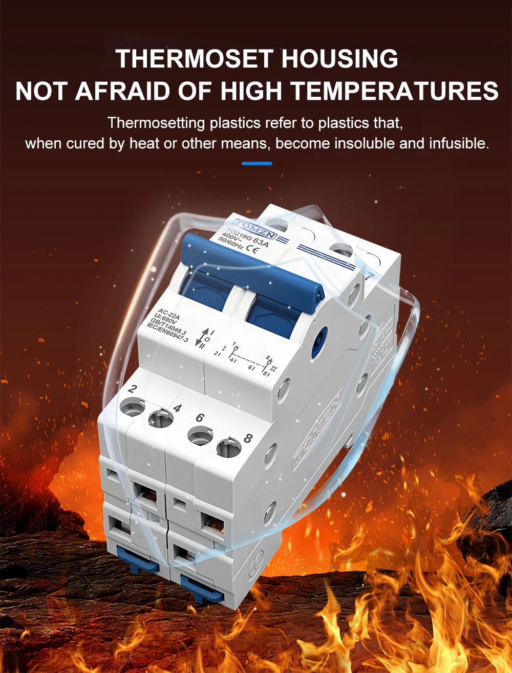 TOMZN 2P 63A MTS Dual Power Manual Transfer Isolating Switch Interlock Circuit Breaker
