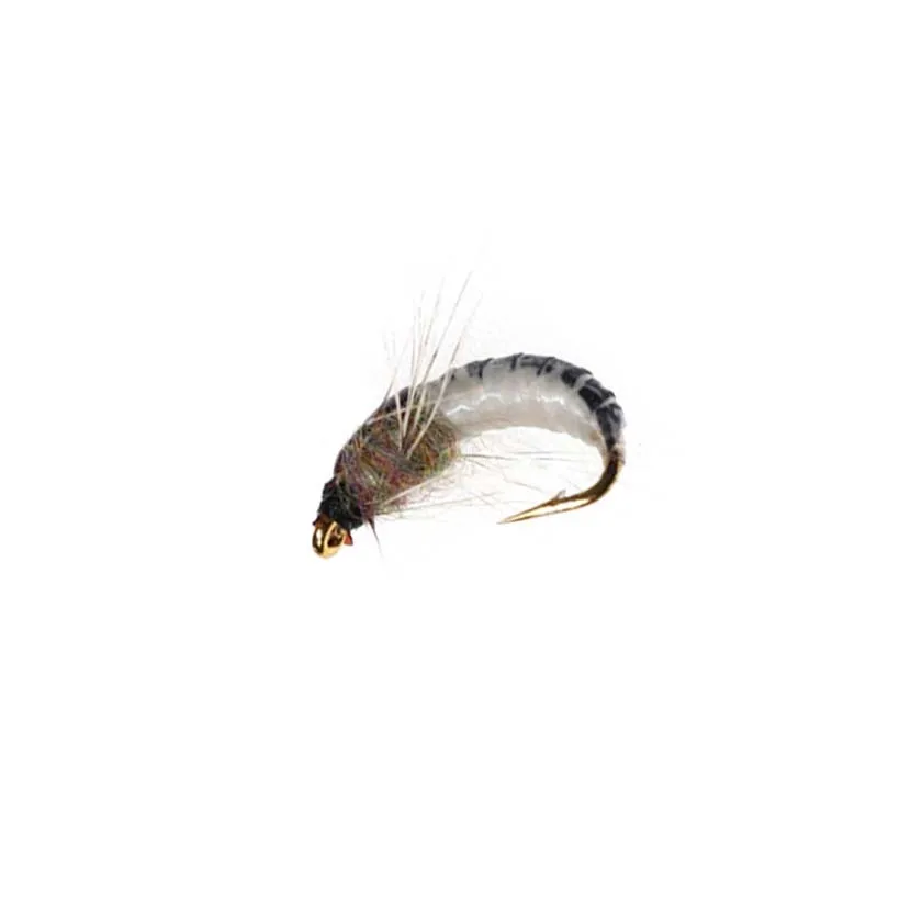 5Pieces Brass Beadhead Peacock Herl Buzzer Fly Ice Fishing Fly Lure Jig Nymph Larvea for Trout Perch Bluegill Fishing