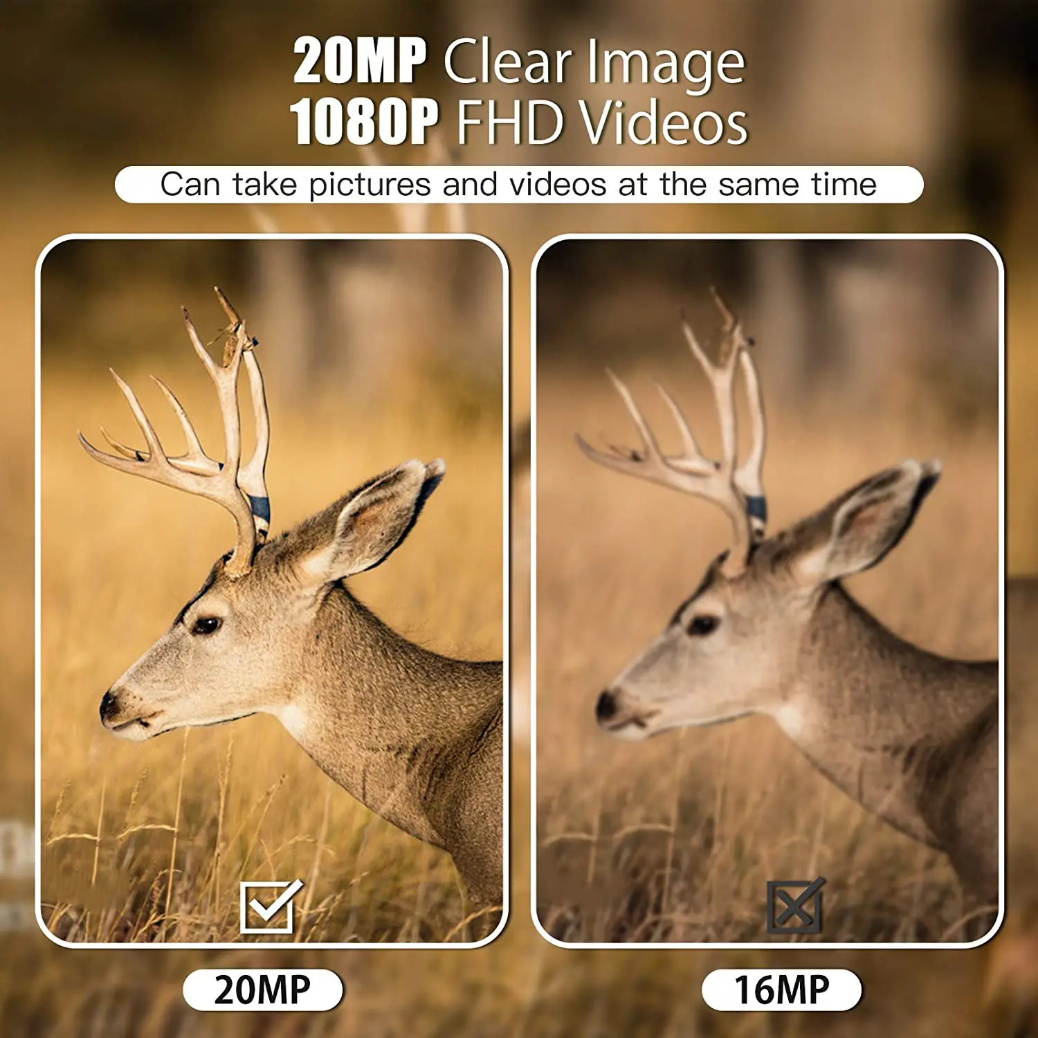 20MP 1080P Mini Trail Hunting Camera Wildlife Cameras 850NM Night Vision Mini600 Animal Cam Photo Trap Surveillance Tracking