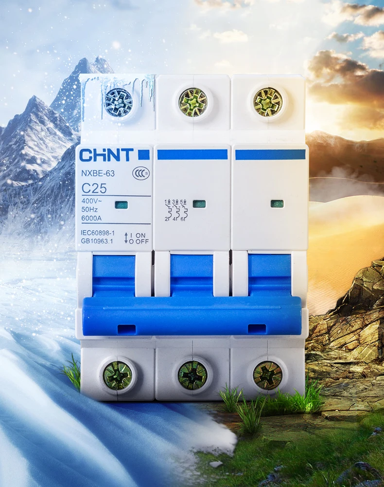 CHNT CHINT NXB-63 2P AC 230/400V Miniature Circuit Breaker C 6 10 16 20 25 32 40 63A Overload Protector DZ47 C Style Air Switch