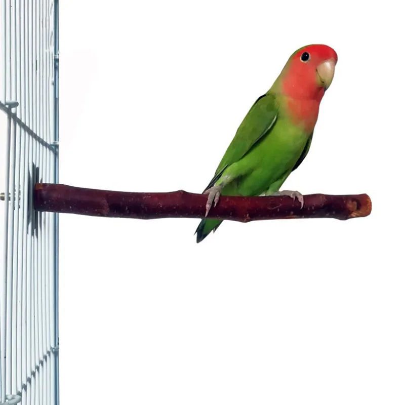 Natural Wood Pet Parrot Raw Wood Fork Tree Branch Stand Rack Squirrel Bird Hamster Branch Perches Chew Bite Toys Stick