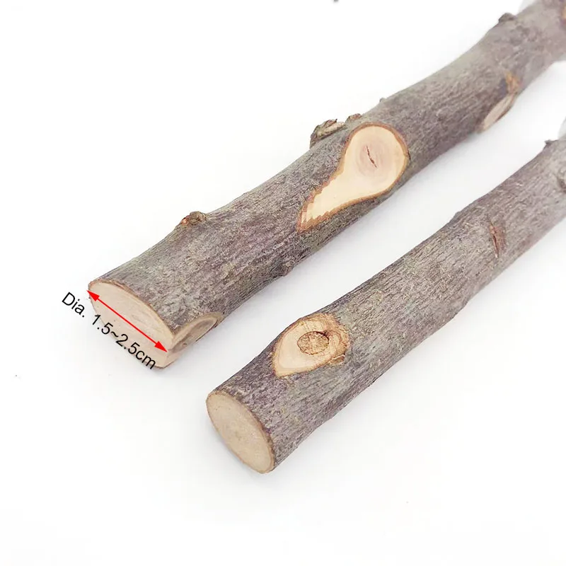 Natural Wood Pet Parrot Raw Wood Fork Tree Branch Stand Rack Squirrel Bird Hamster Branch Perches Chew Bite Toys Stick