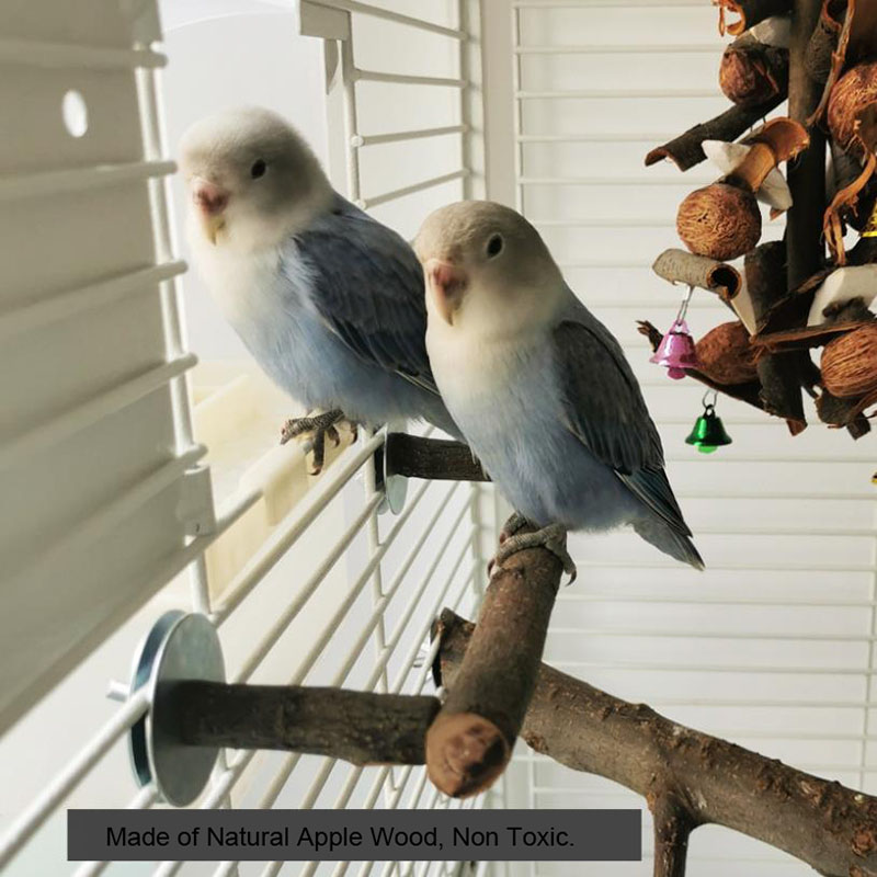 Natural Wood Pet Parrot Raw Wood Fork Tree Branch Stand Rack Squirrel Bird Hamster Branch Perches Chew Bite Toys Stick
