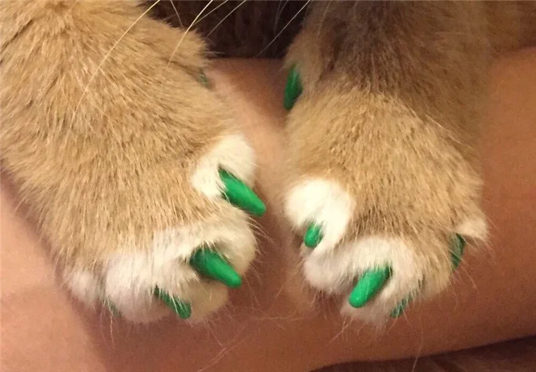 Cat Nail Caps Pet Cat Soft Paws Nail Protector Cover With Free Adhesive Glue + Applicator 20pcs/lot for Kitten