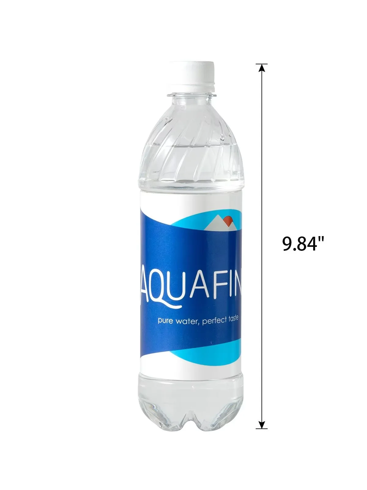 Aquafina Water Bottle Diversion Safe Can Stash Hidden Security Container With A Food Grade Smell Proof Bag