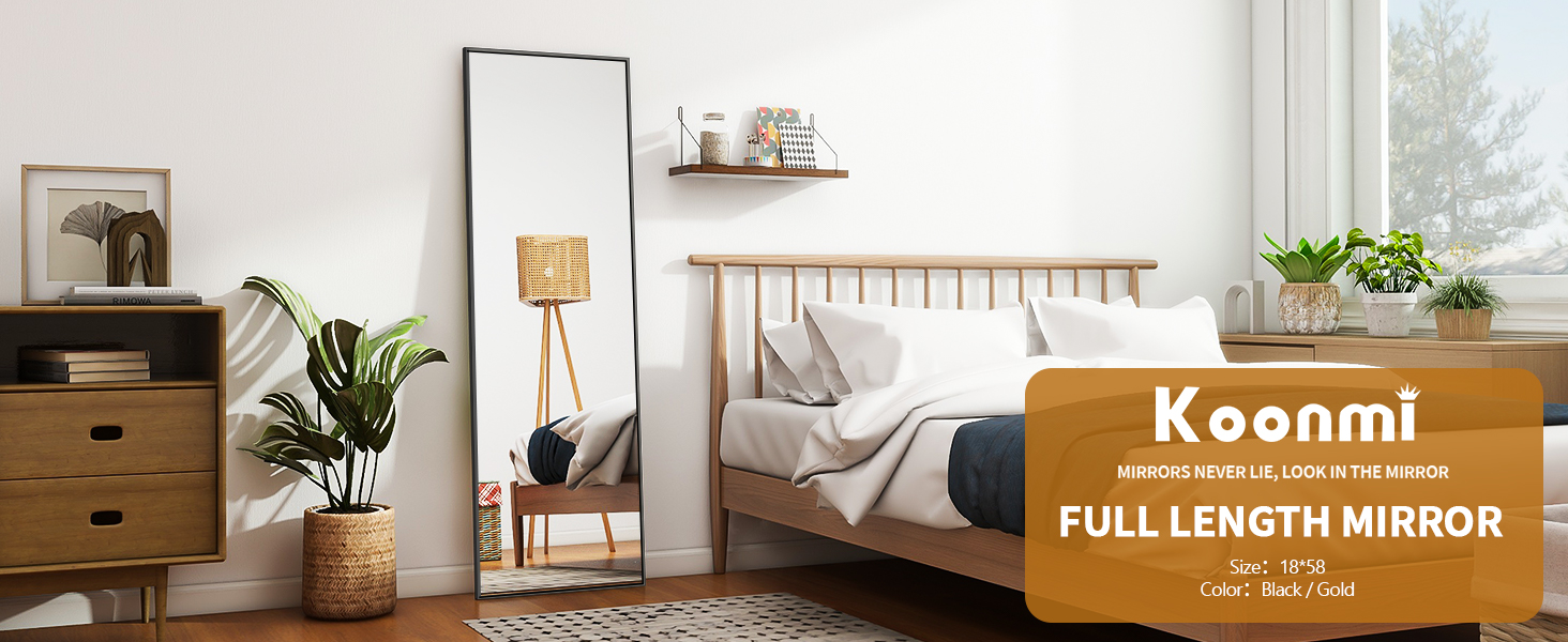 64"x21" Floor Mirror Full Length, Bedroom Floor Body Mirror with Stand, Leaning, Standing or Hanging Horizontally Vertically