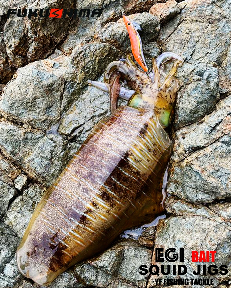 FUKUSHIMA 2-3.5 SQUID JIGS EGI LURE FISHING WOOD SHRIMP BAIT CUTTLEFISH OCTOPS GLOW TAIL SHARP HOOKS 21GRAM ROCK & BOAT FISHING