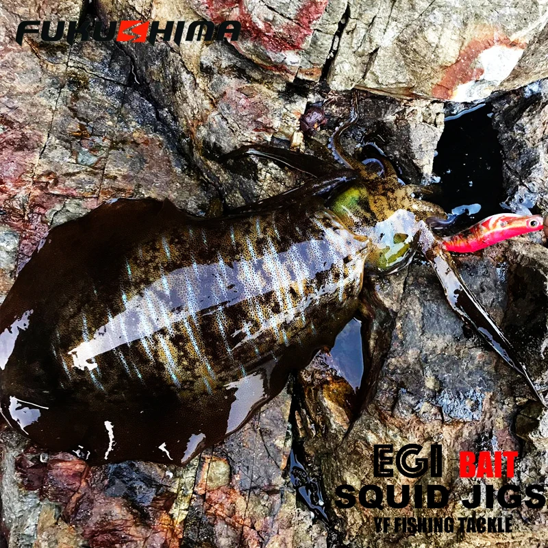 FUKUSHIMA 2-3.5 SQUID JIGS EGI LURE FISHING WOOD SHRIMP BAIT CUTTLEFISH OCTOPS GLOW TAIL SHARP HOOKS 21GRAM ROCK & BOAT FISHING