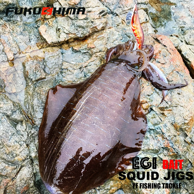 FUKUSHIMA 2-3.5 SQUID JIGS EGI LURE FISHING WOOD SHRIMP BAIT CUTTLEFISH OCTOPS GLOW TAIL SHARP HOOKS 21GRAM ROCK & BOAT FISHING