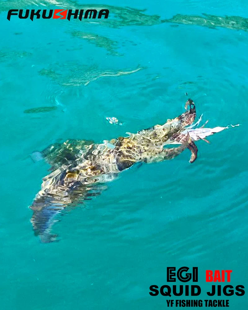 FUKUSHIMA 2-3.5 SQUID JIGS EGI LURE FISHING WOOD SHRIMP BAIT CUTTLEFISH OCTOPS GLOW TAIL SHARP HOOKS 21GRAM ROCK & BOAT FISHING