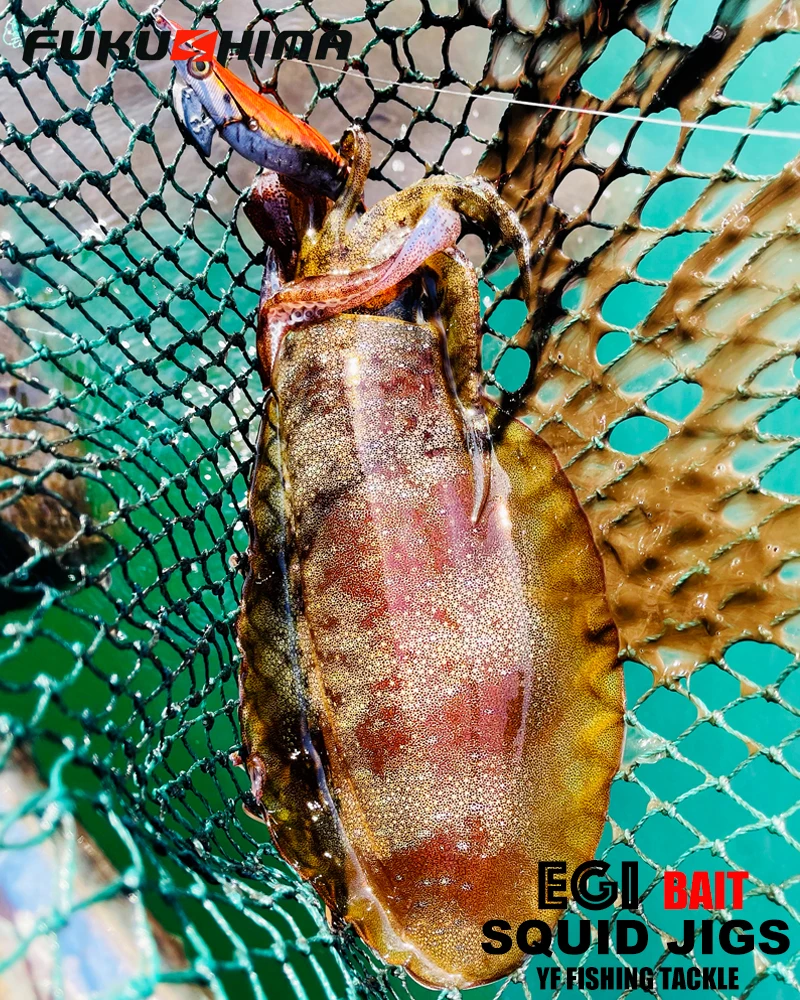 FUKUSHIMA 2-3.5 SQUID JIGS EGI LURE FISHING WOOD SHRIMP BAIT CUTTLEFISH OCTOPS GLOW TAIL SHARP HOOKS 21GRAM ROCK & BOAT FISHING