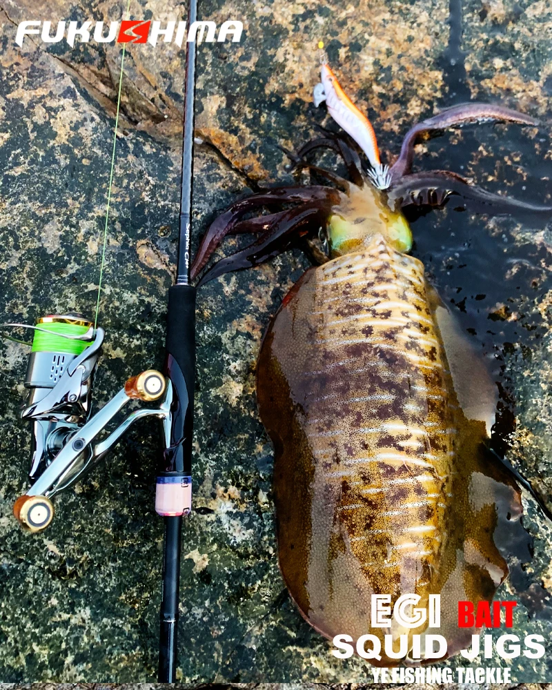 FUKUSHIMA 2-3.5 SQUID JIGS EGI LURE FISHING WOOD SHRIMP BAIT CUTTLEFISH OCTOPS GLOW TAIL SHARP HOOKS 21GRAM ROCK & BOAT FISHING