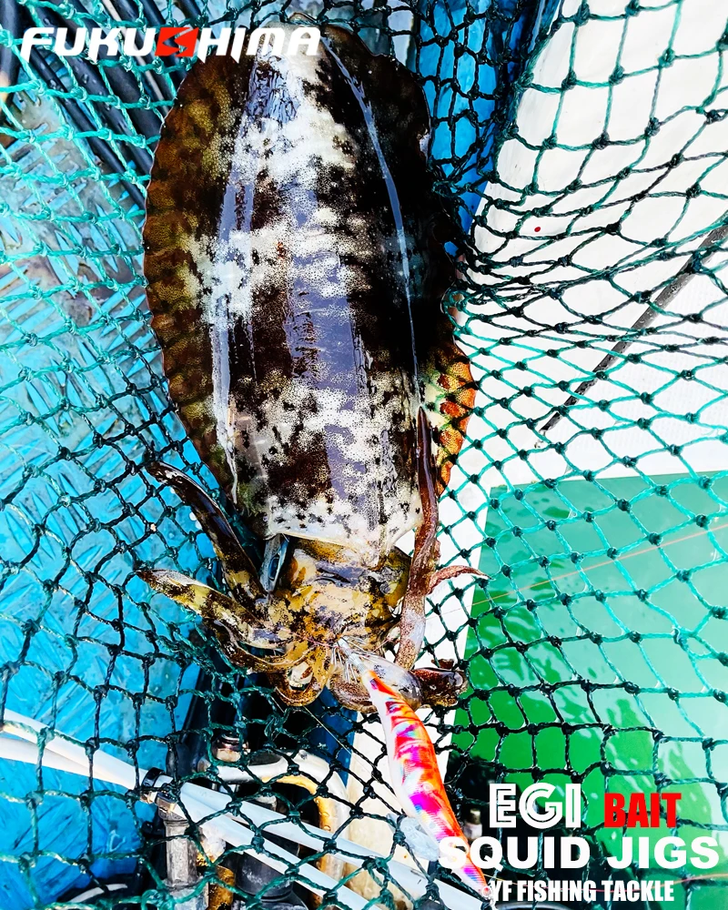FUKUSHIMA 2-3.5 SQUID JIGS EGI LURE FISHING WOOD SHRIMP BAIT CUTTLEFISH OCTOPS GLOW TAIL SHARP HOOKS 21GRAM ROCK & BOAT FISHING
