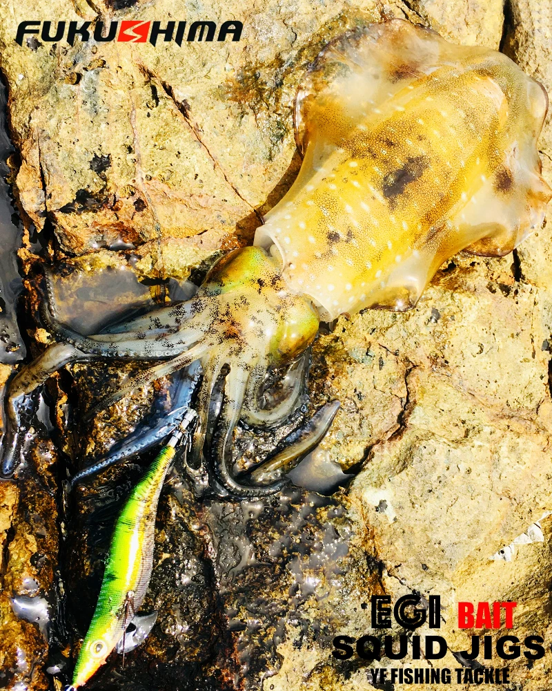 FUKUSHIMA 2-3.5 SQUID JIGS EGI LURE FISHING WOOD SHRIMP BAIT CUTTLEFISH OCTOPS GLOW TAIL SHARP HOOKS 21GRAM ROCK & BOAT FISHING