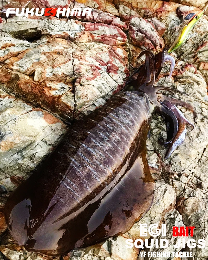 FUKUSHIMA 2-3.5 SQUID JIGS EGI LURE FISHING WOOD SHRIMP BAIT CUTTLEFISH OCTOPS GLOW TAIL SHARP HOOKS 21GRAM ROCK & BOAT FISHING