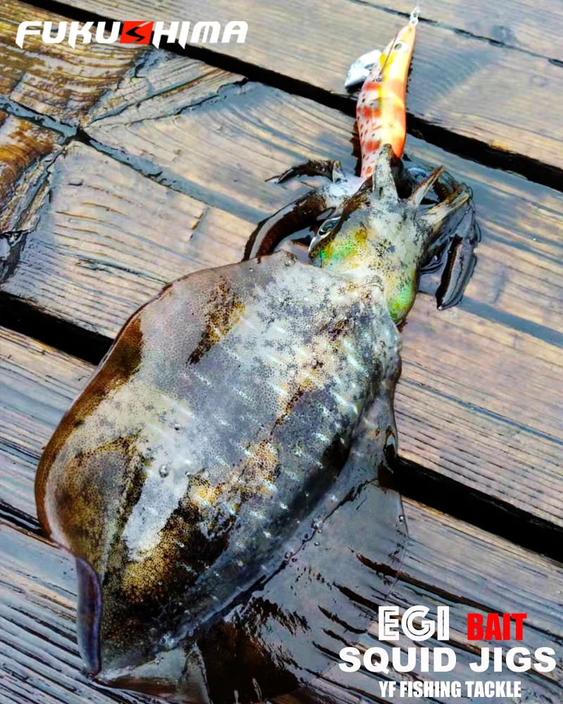 FUKUSHIMA 2-3.5 SQUID JIGS EGI LURE FISHING WOOD SHRIMP BAIT CUTTLEFISH OCTOPS GLOW TAIL SHARP HOOKS 21GRAM ROCK & BOAT FISHING
