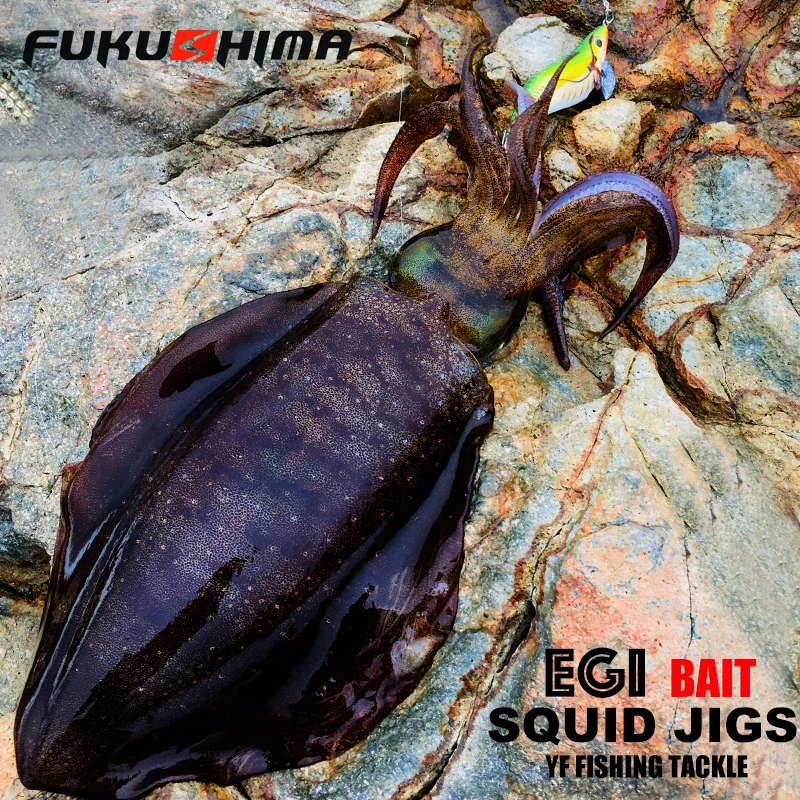 FUKUSHIMA 2-3.5 SQUID JIGS EGI LURE FISHING WOOD SHRIMP BAIT CUTTLEFISH OCTOPS GLOW TAIL SHARP HOOKS 21GRAM ROCK & BOAT FISHING