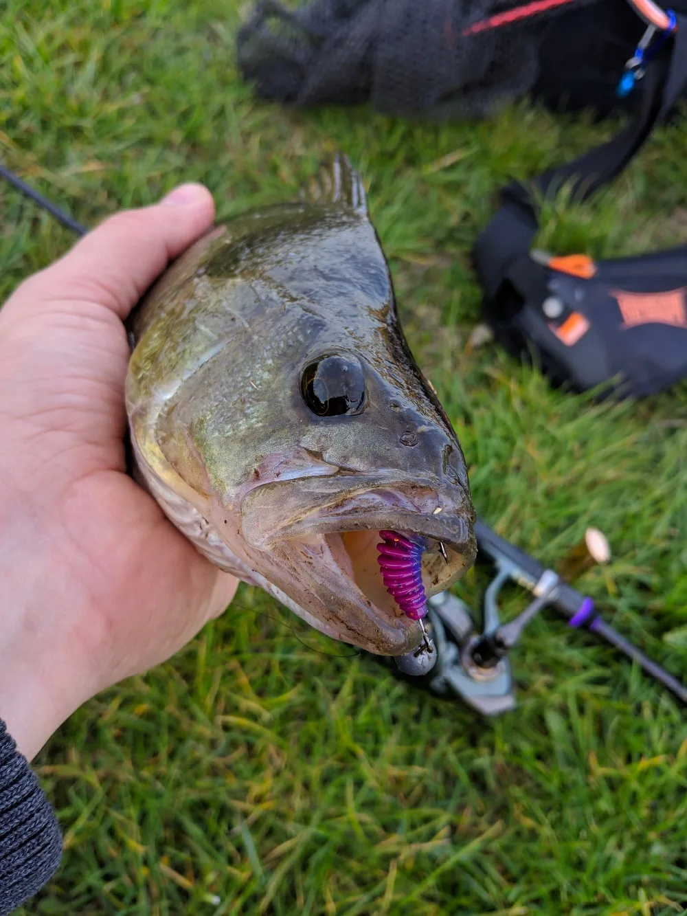 2023 Supercontinent worm bait soft bait Tanta 49mm 65mm fishing lures Pesca carp fishing bass lure Isca artificial PVA