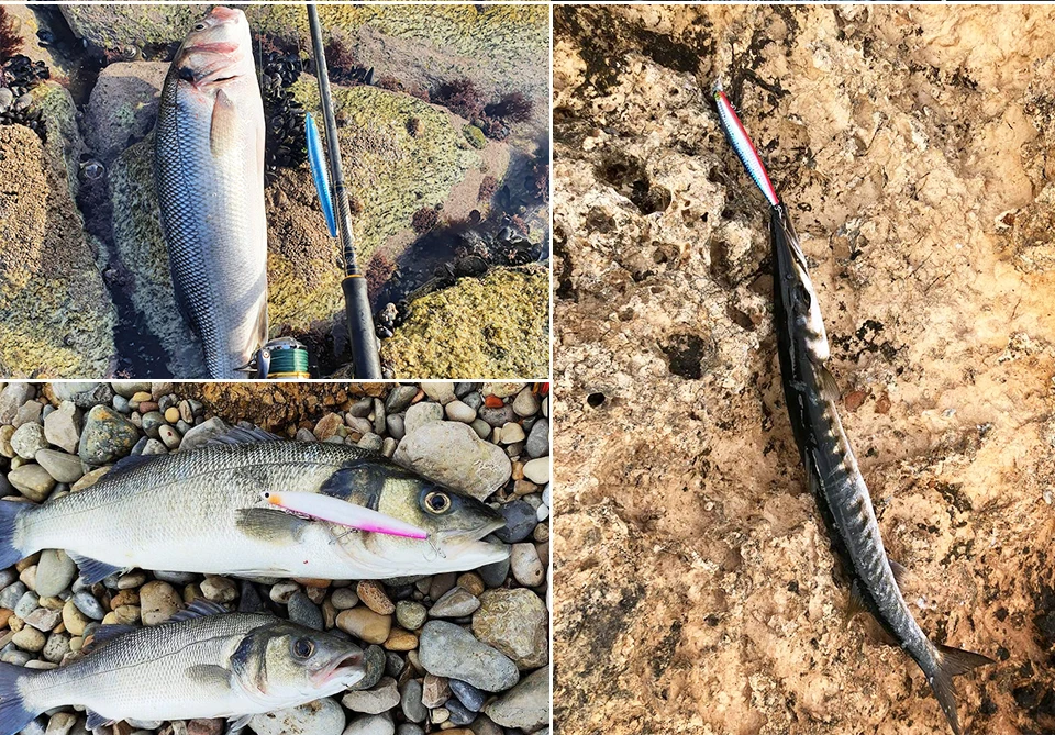 TSURINOYA Stinger 140S Fishing Lure Sinking Minnow DW92 140mm 26g Saltwater Seabass Ultra Long Casting Large Hard Baits Jerkbait