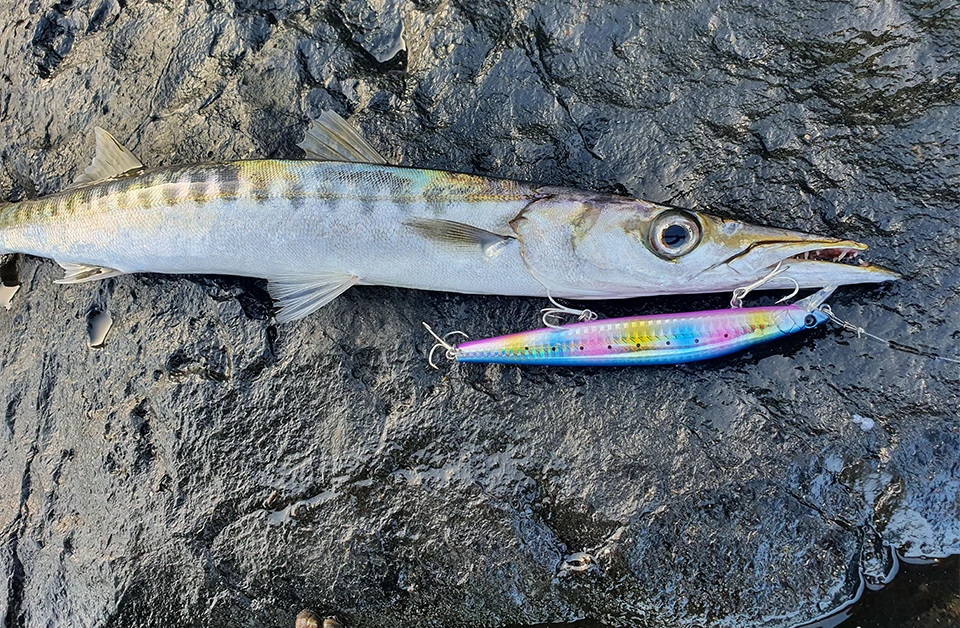 TSURINOYA Stinger 140S Fishing Lure Sinking Minnow DW92 140mm 26g Saltwater Seabass Ultra Long Casting Large Hard Baits Jerkbait