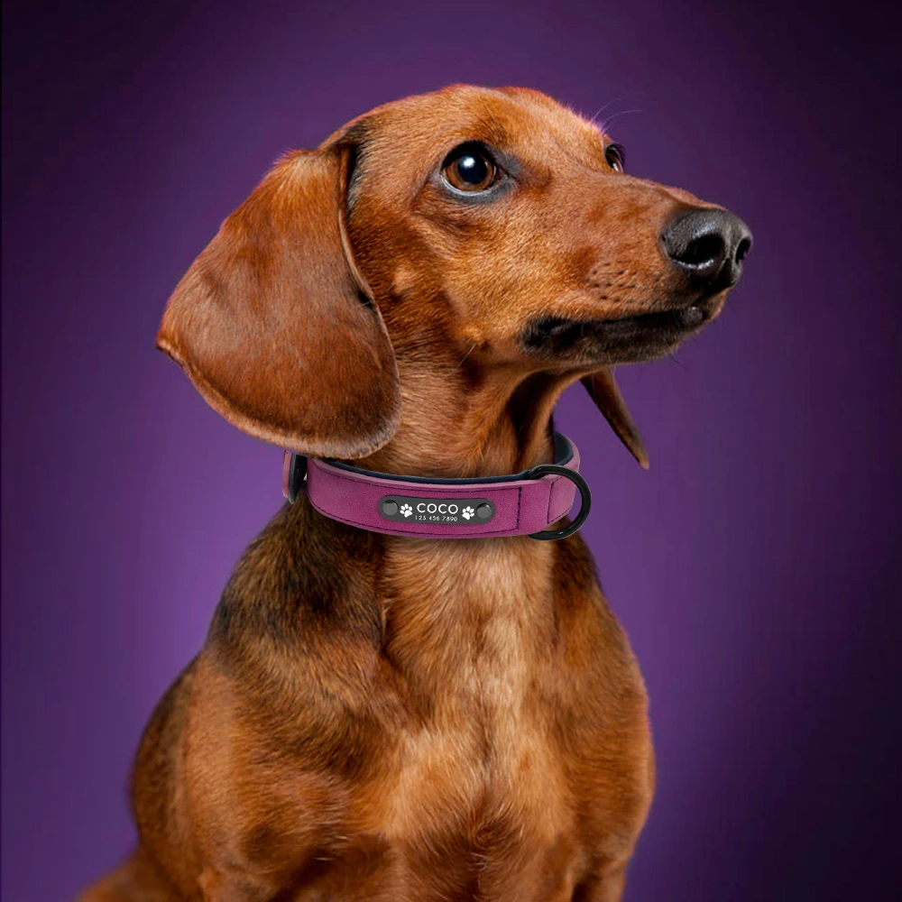 Personalized Dog Collar Custom Leather Dog Collars Inner Padded Pet ID Collar For Small Medium Large Dogs Pitbull Bulldog