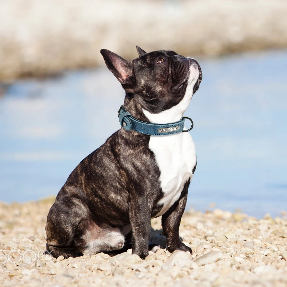 Personalized Dog Collar Custom Leather Dog Collars Inner Padded Pet ID Collar For Small Medium Large Dogs Pitbull Bulldog