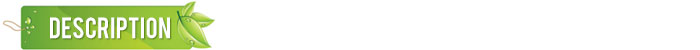10 pcs 13x 9.8cm Scratch Art Paper Magic Painting Paper with Drawing Stick For Kids Toy Colorful Drawing Toys