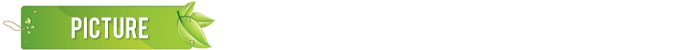 10 pcs 13x 9.8cm Scratch Art Paper Magic Painting Paper with Drawing Stick For Kids Toy Colorful Drawing Toys