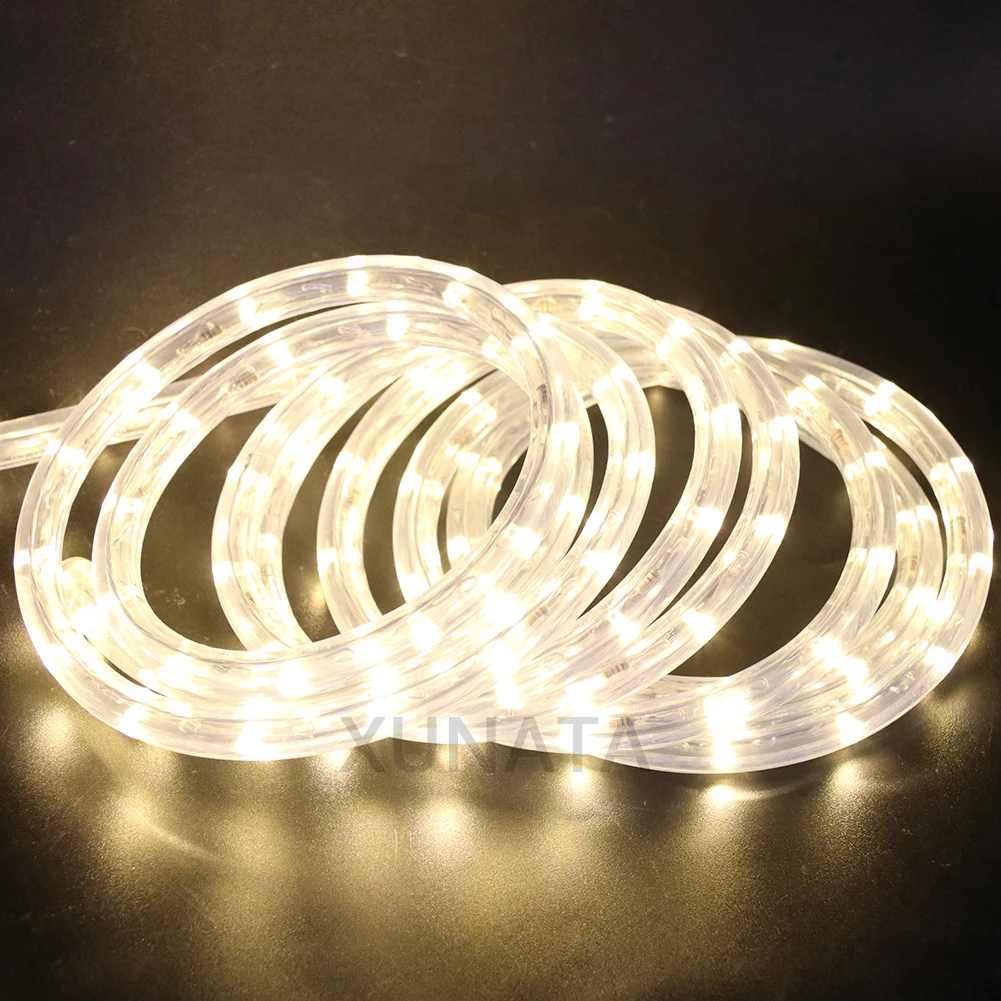 EU 220V Neon Strip Waterproof Outdoor Garden 360 Degree Ligthing LED Rope Tube Lamp Multi Rainbow Fairy Lights