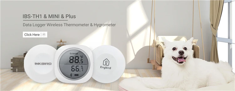 IBS-TH2 Waterproof Bluetooth Magnetic Temperature Meter App Alarm Remote Control Data Logger Kitchen Refrigerator Thermometer