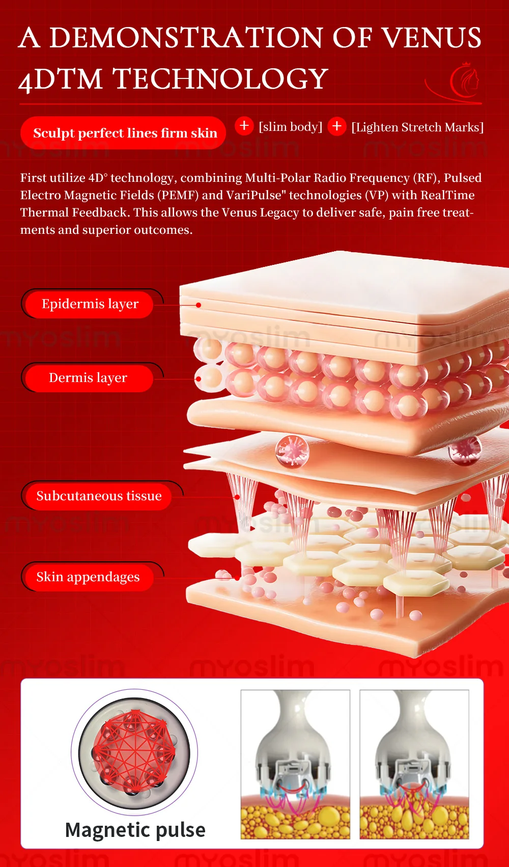 Newset Body Shape Inner Ball Roller Massage Machine Endos Therapy Machine Cellulite Reduction Lymphatic Drainage Beauty Machine
