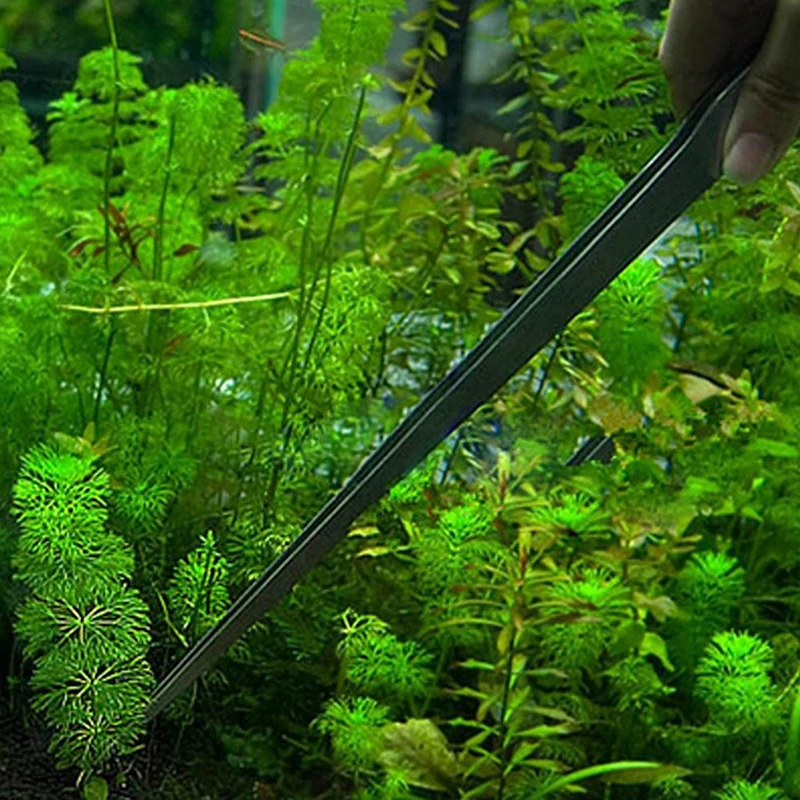 27cm Stainless Steel Aquarium Tweezers Straight & Curved Aquascape Tools Fish Tank Aquatic Plant Feeding Tongs