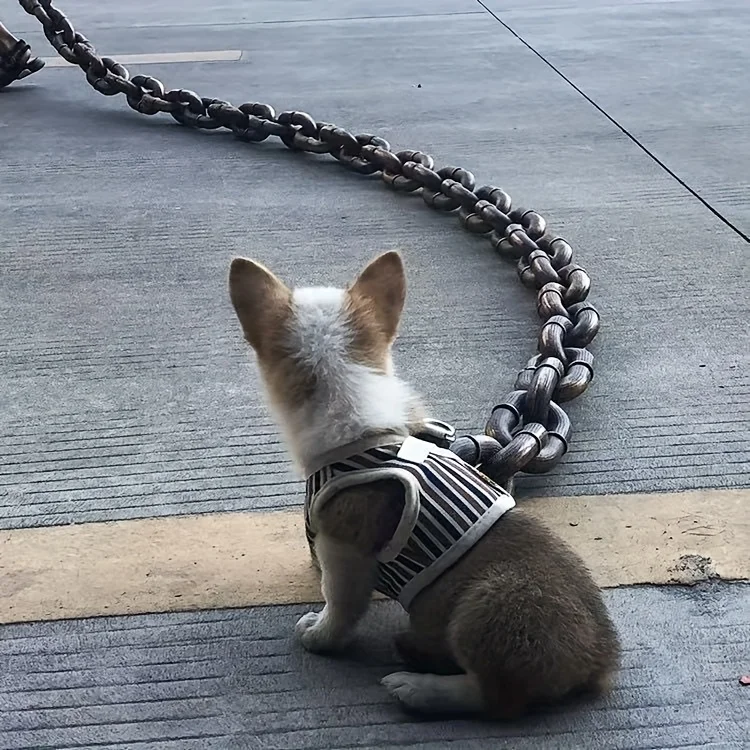 1Pcs 70inch Funny Dog Rope Prank Foam Chain Photo Props Durable Decoration Cute Dog Traction Rope Pet Supplies Accessories