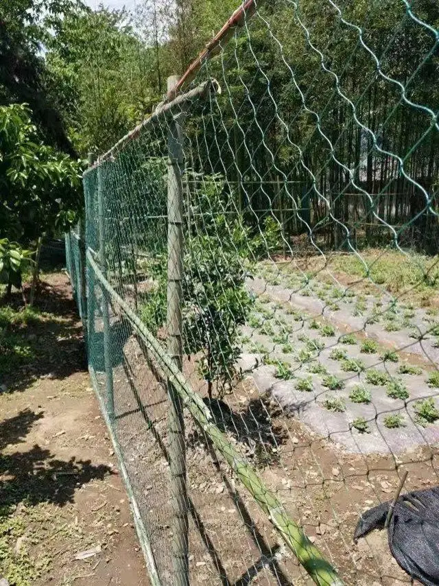 Heavy Duty Anti Bird Netting Garden Deer Fence Netting, Garden Net and Crops Protective Fencing Mesh for Anti Bird Deer Cat Dog