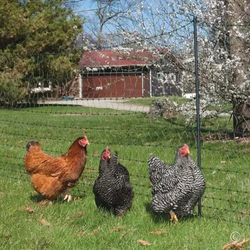 Heavy Duty Anti Bird Netting Garden Deer Fence Netting, Garden Net and Crops Protective Fencing Mesh for Anti Bird Deer Cat Dog