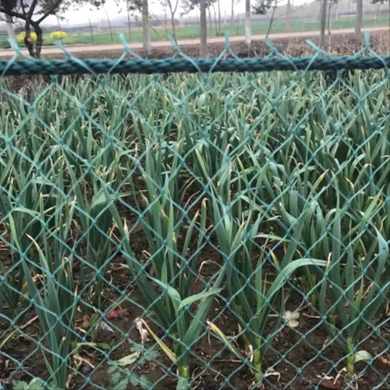 Heavy Duty Anti Bird Netting Garden Deer Fence Netting, Garden Net and Crops Protective Fencing Mesh for Anti Bird Deer Cat Dog