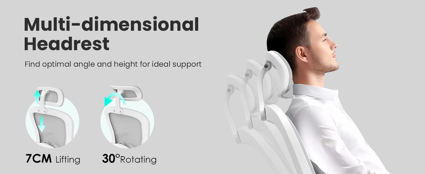 Farini Ergonomic Office Chair with Adjustable Lumbar Support & Headrest, High Back Executive Chair with Flip-Up Arms