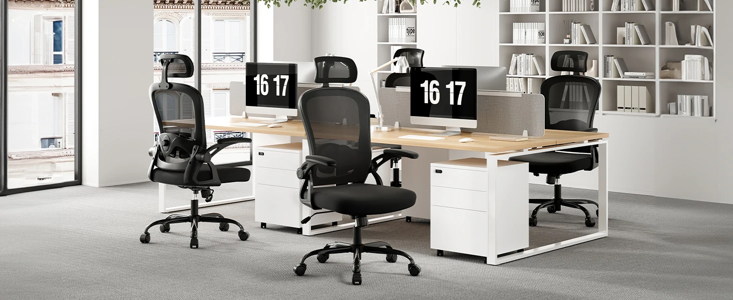 Farini Ergonomic Office Chair with Adjustable Lumbar Support & Headrest, High Back Executive Chair with Flip-Up Arms