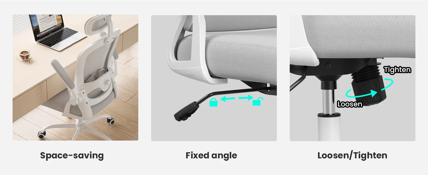 Farini Ergonomic Office Chair with Adjustable Lumbar Support & Headrest, High Back Executive Chair with Flip-Up Arms