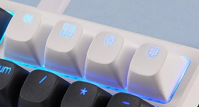 Redragon K668 Wired Gasket RGB Gaming Keyboard, 108 Keys Mechanical Keyboard w/Extra 4 Hotkeys, Upgraded Hot-swappable Socket