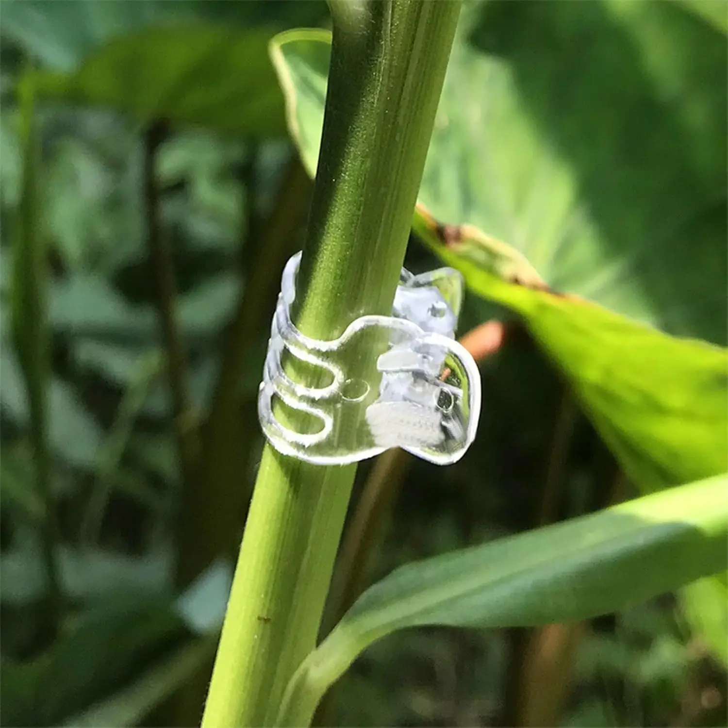 30/50/100Pcs Transparent 6 Claws Orchid Clips Plastic Butterfly Flowers Support Clear Fixer For Garden Vine Stem Plants Climbing