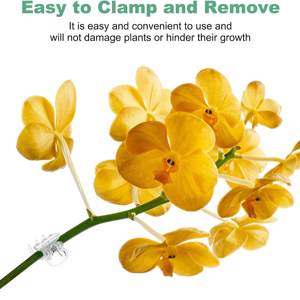 30/50/100Pcs Transparent 6 Claws Orchid Clips Plastic Butterfly Flowers Support Clear Fixer For Garden Vine Stem Plants Climbing