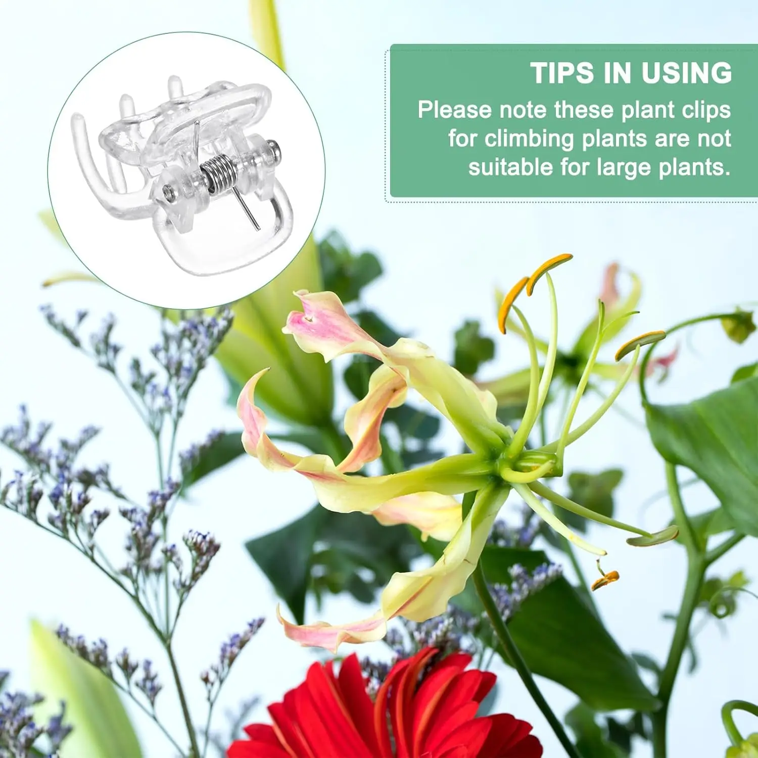 30/50/100Pcs Transparent 6 Claws Orchid Clips Plastic Butterfly Flowers Support Clear Fixer For Garden Vine Stem Plants Climbing