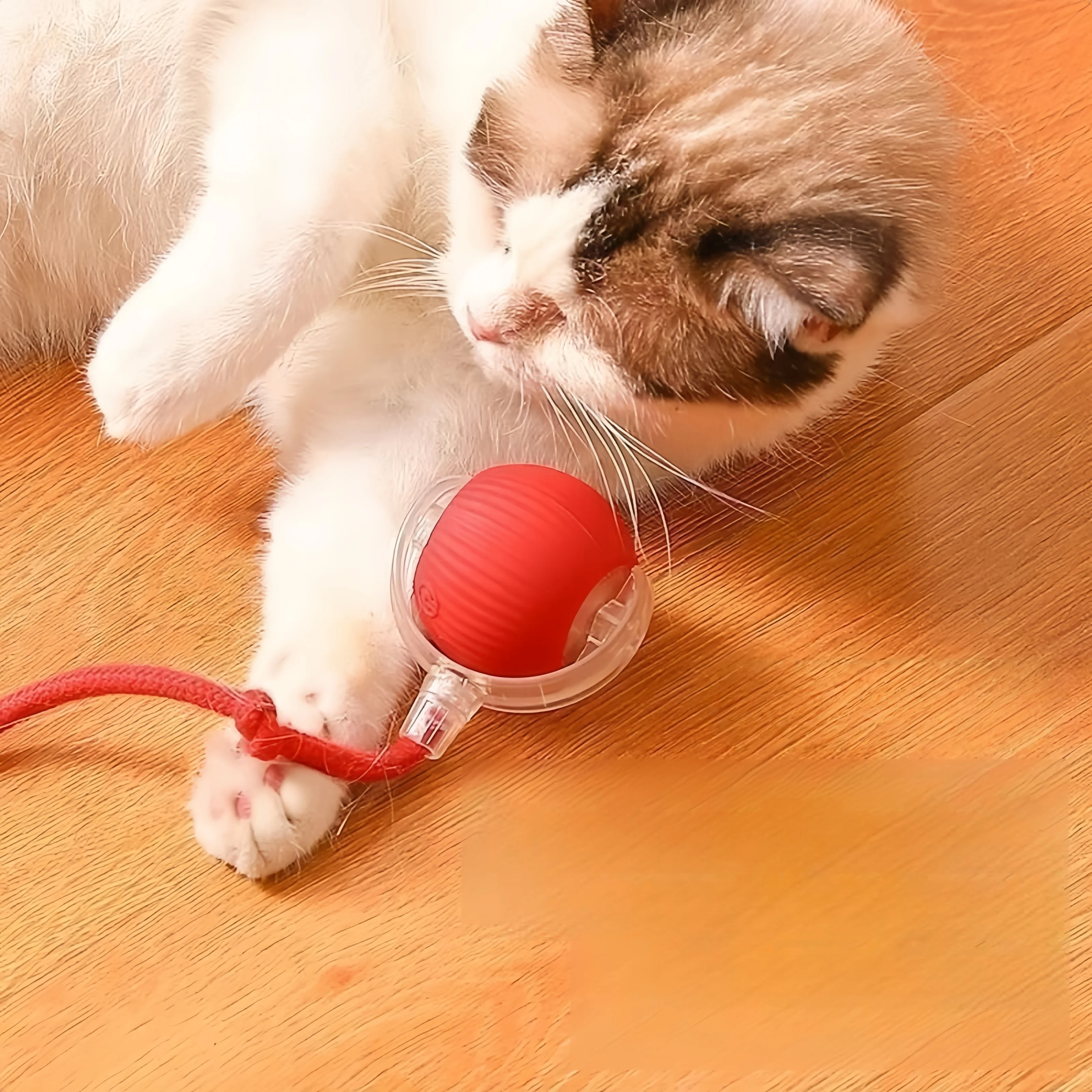 Dog Toy Automatic Dog Walking Ball Self-Happy Relieving Boredom Pet Electric Puppy Bite-Resistant Smart Toy Puppy Training
