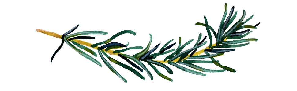 WELEDA Rosemary Revitalising Hair Tonic 100ml Proven stronger, healthier hair and reduced hair loss