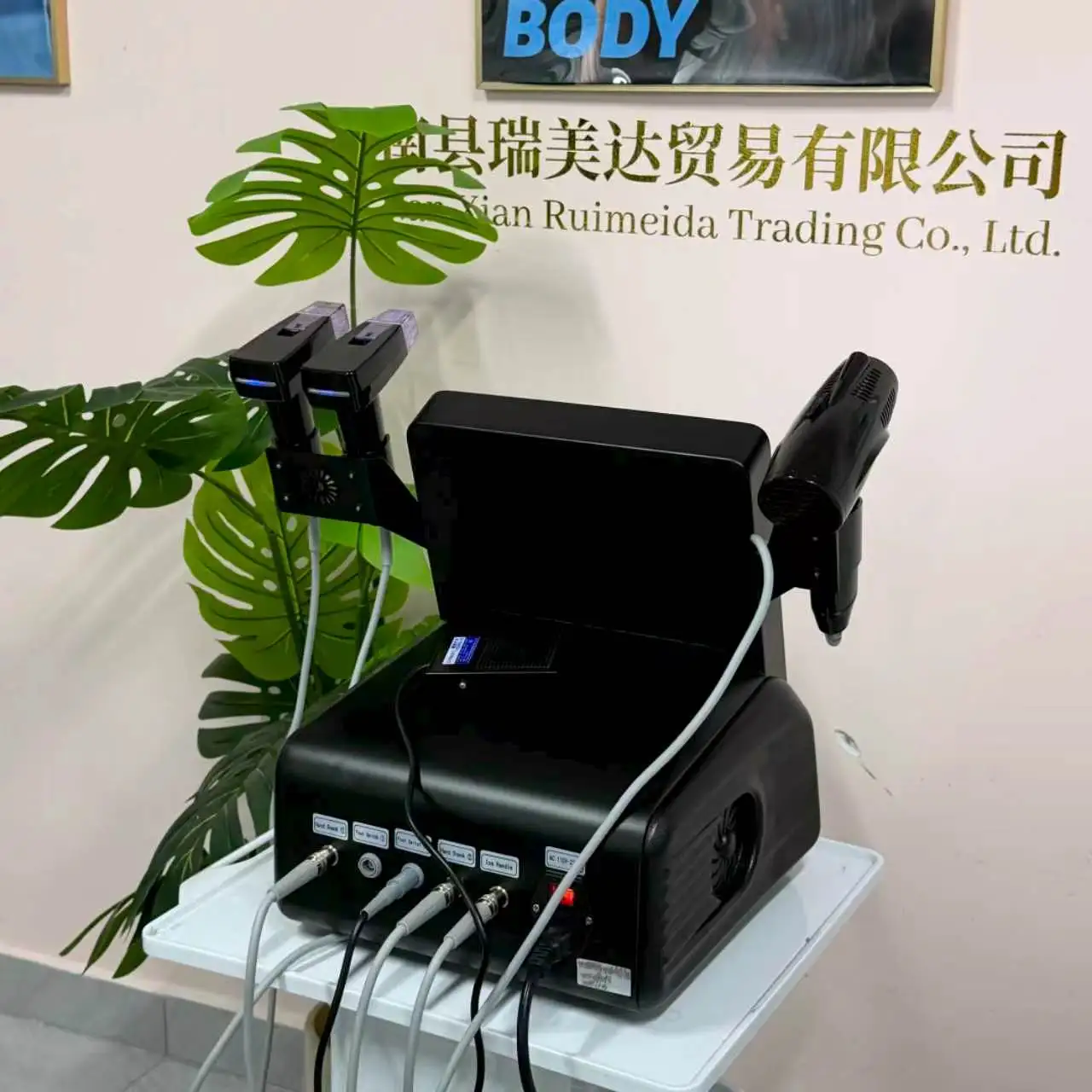 Professional Morpheus 8 RF Microneedling Machine Facial Skin Care Beauty With12 24 40 Nano Pin Cartridge